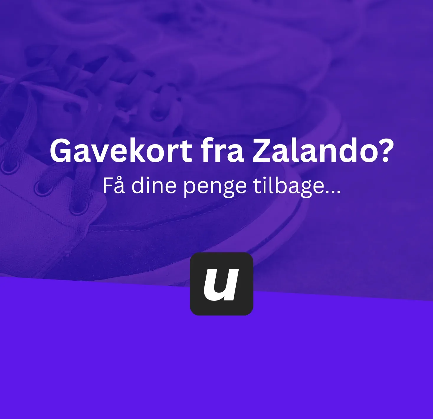 Kontante pengesedler – udbetal Zalando gavekort